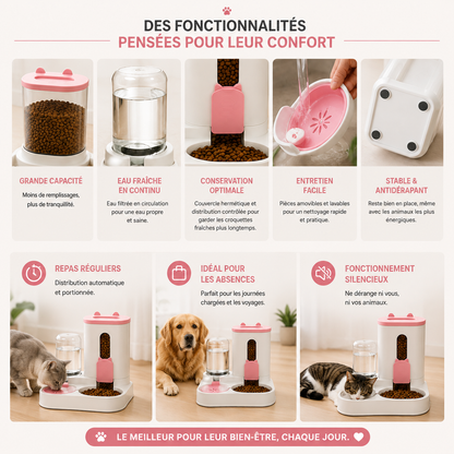 PawFlow™ – Distributeur Automatique 2-en-1
