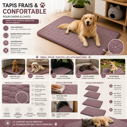 CoolPaw™ – Tapis Rafraîchissant pour Animaux